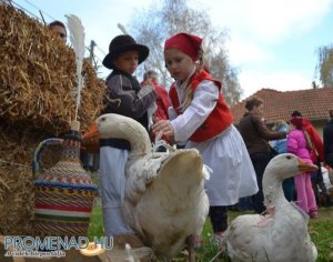 3da688822d604be7e02b3b597a680ed0_normal