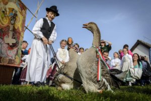 voros_judit_marton_nap_1958194_9365